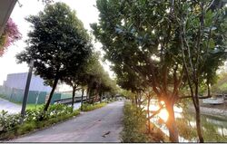 Blk 315B Waterway Cascadia (Punggol), HDB 4 Rooms #521875871